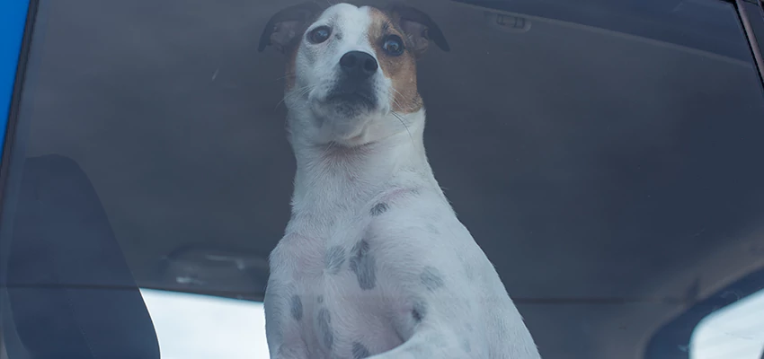 Car Lockout Solutions in Lake Mathews, California